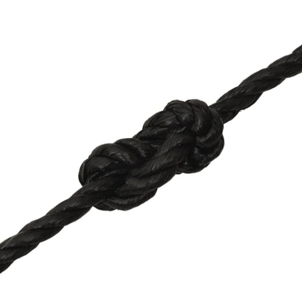 vidaXL Work Rope Black 10 mm 100 m Polypropylene - Image 5
