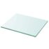 vidaXL Shelf Panel Glass Clear 30x25 cm