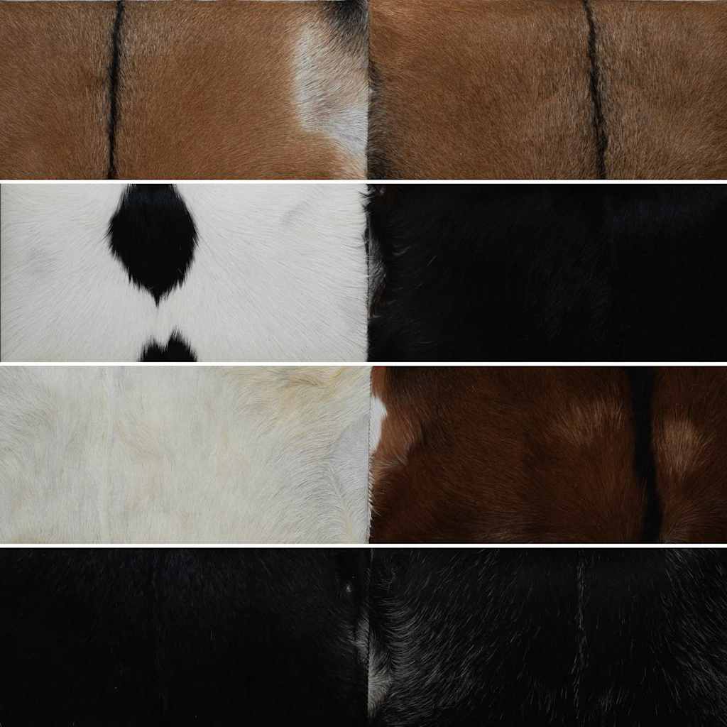 8718475533344_g_en_hd_6 vidaXL Bench Goatskin Leather Teak - Image 7