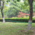 vidaXL Slackline 15 m x 50 mm 150 kg Green - Image 6