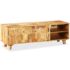 vidaXL TV Cabinet Solid Mango Wood 118x35x40 cm - Image 2