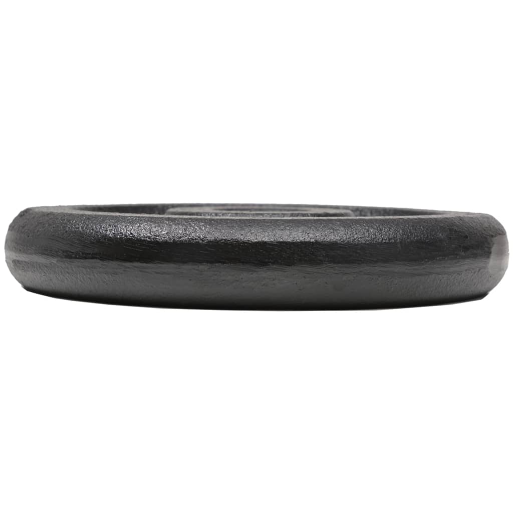 8718475586722_g_en_hd_3 vidaXL Weight Plates 8 pcs 8x2.5 kg Cast Iron - Image 4