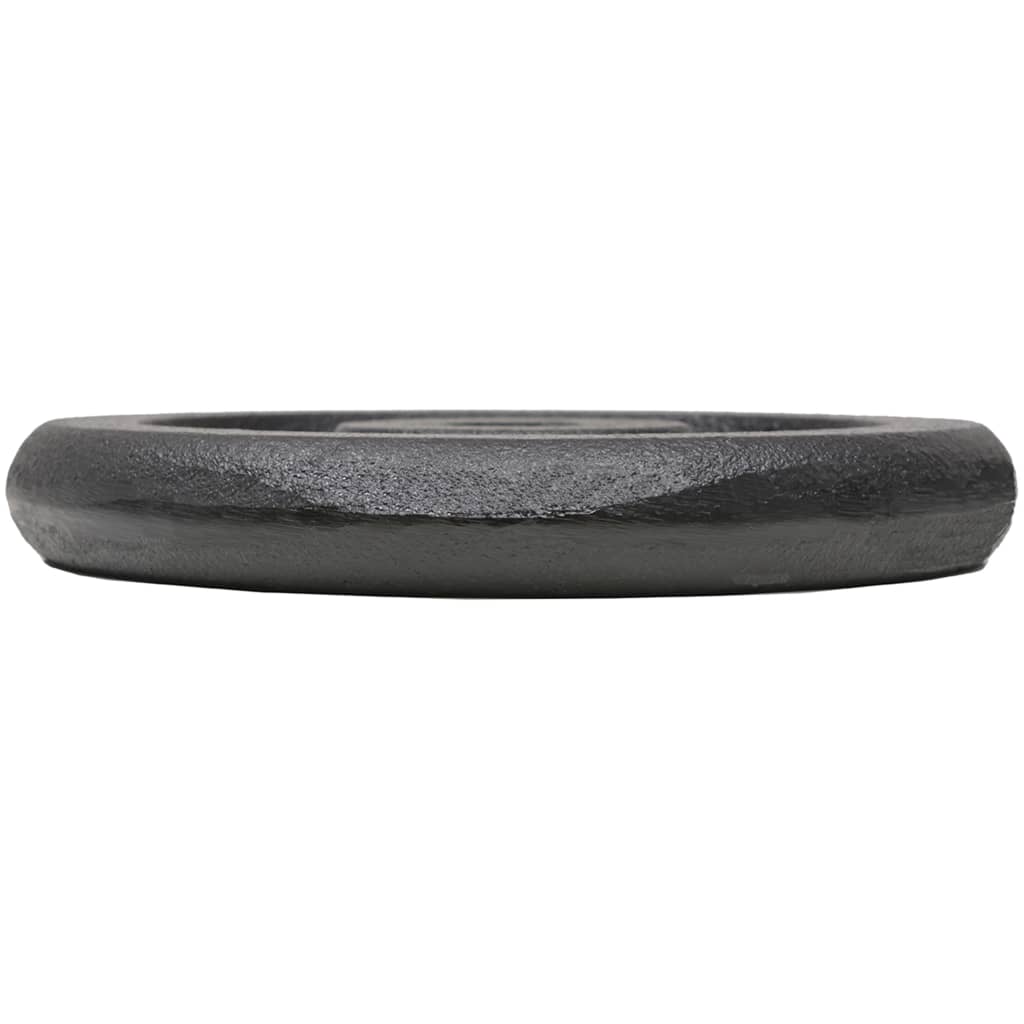 8718475586739_g_en_hd_2 vidaXL Weight Plates 4 pcs 4x5 kg Cast Iron - Image 3