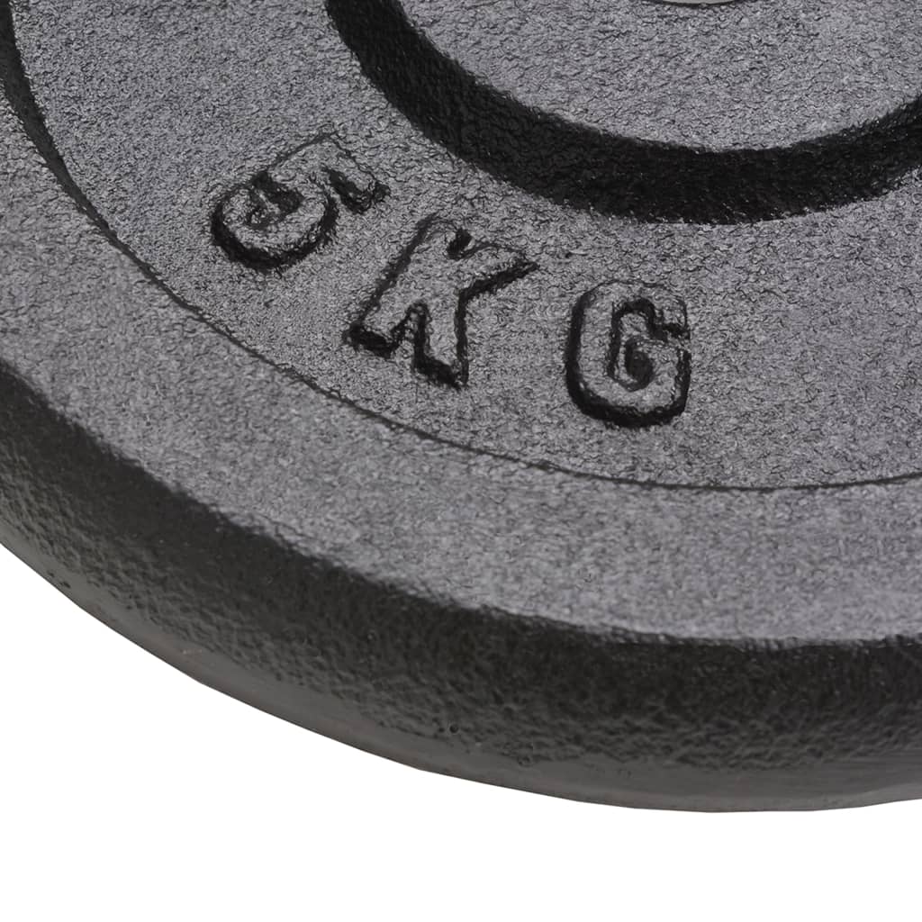 8718475586739_g_en_hd_3 vidaXL Weight Plates 4 pcs 4x5 kg Cast Iron - Image 4