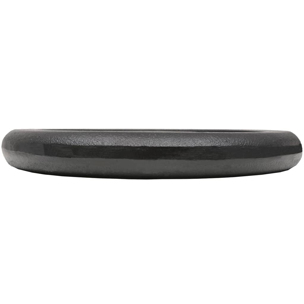 8718475586753_g_en_hd_3 vidaXL Weight Plates 2 pcs 2x10 kg Cast Iron - Image 4