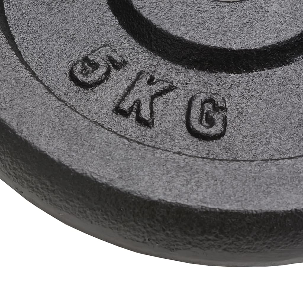8718475586760_g_en_hd_4 vidaXL Weight Plates 4 pcs 2x10 kg+2x5 kg Cast Iron - Image 5