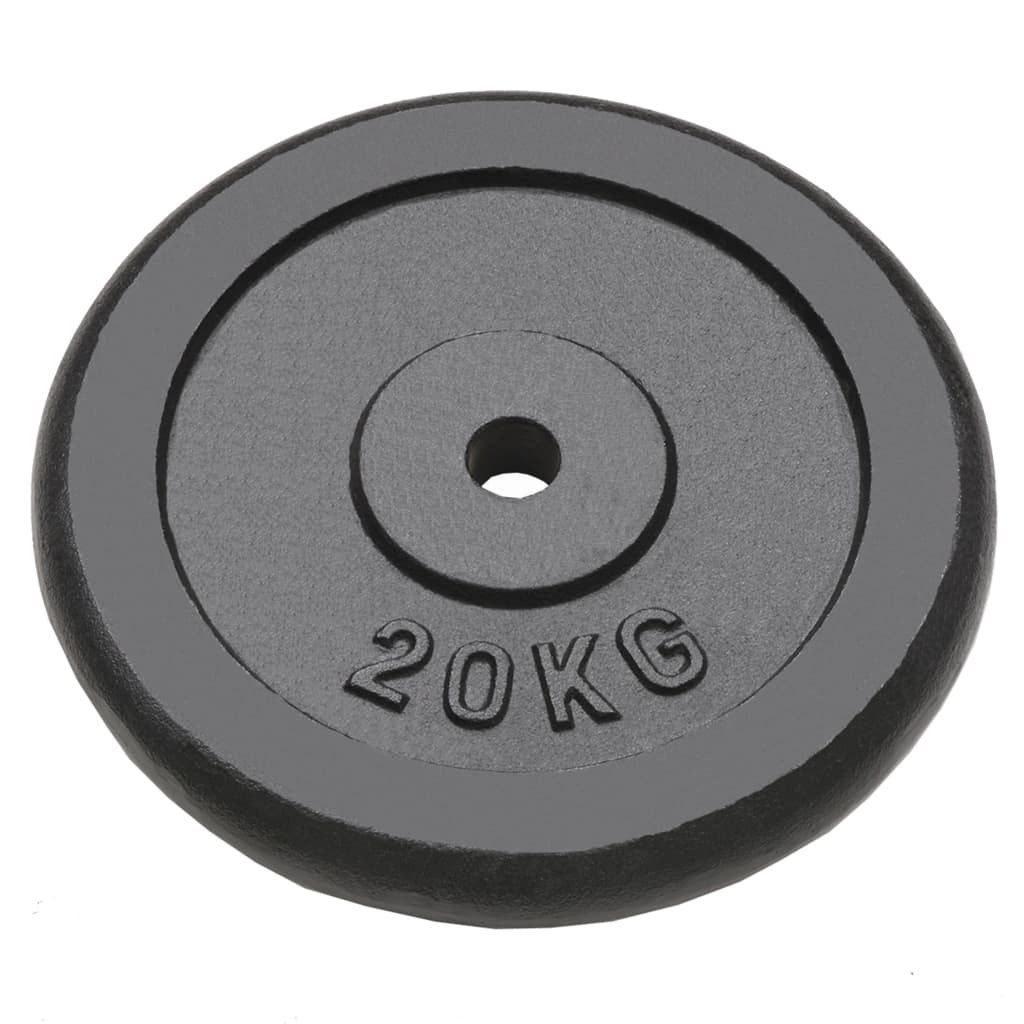 8718475586784_g_en_hd_1 vidaXL Weight Plates 2 pcs 2x20 kg Cast Iron - Image 2