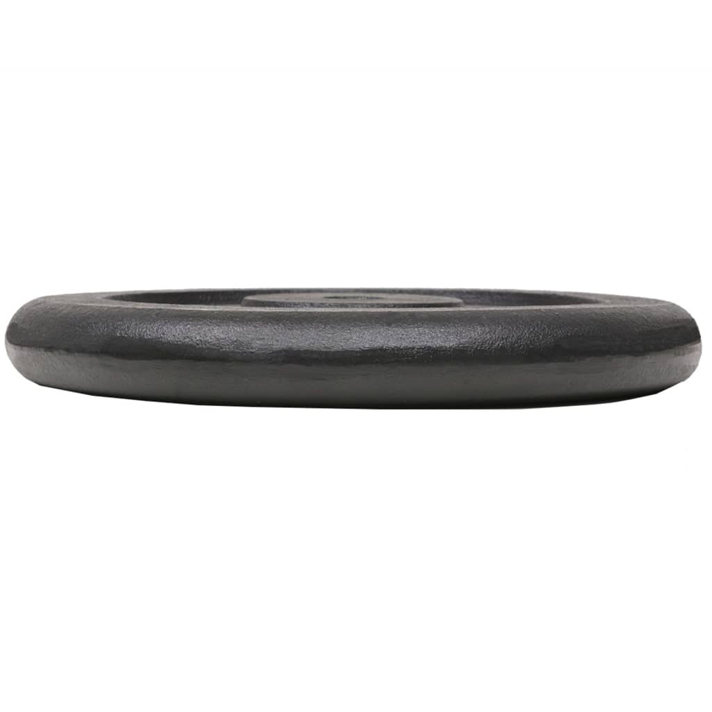 8718475586784_g_en_hd_3 vidaXL Weight Plates 2 pcs 2x20 kg Cast Iron - Image 4