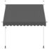 vidaXL Manual Retractable Awning 250 cm Anthracite - Image 3
