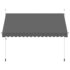 vidaXL Manual Retractable Awning 350 cm Anthracite - Image 3
