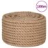 vidaXL Rope 100% Jute 20 mm 100 m - Image 2