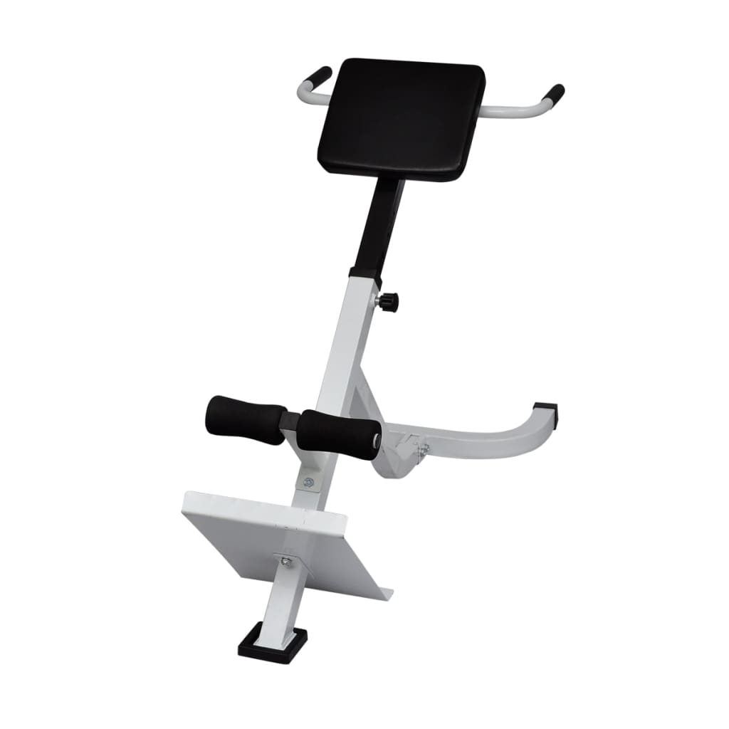 8718475843634_g_en_hd_1 vidaXL Back Extension Bench - Image 2