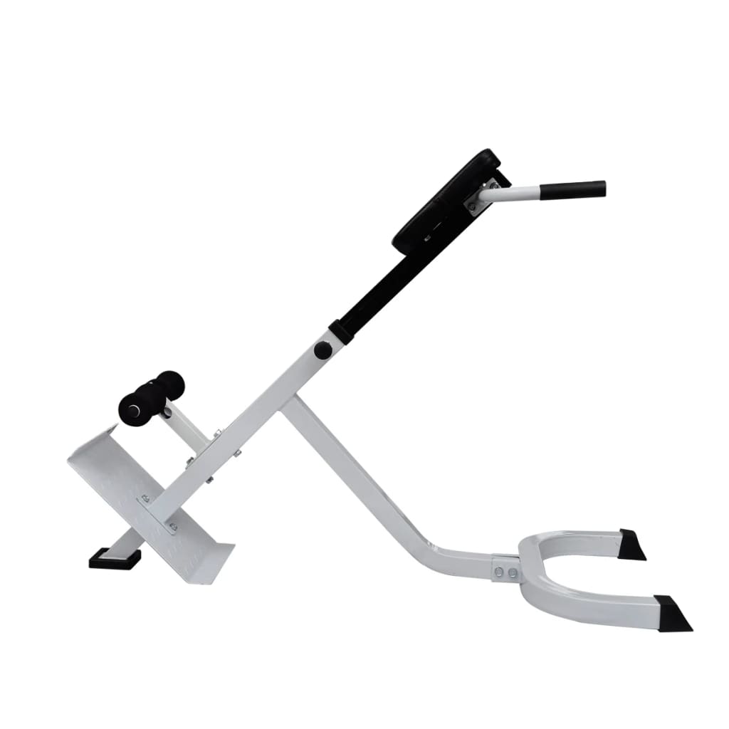 8718475843634_g_en_hd_2 vidaXL Back Extension Bench - Image 3