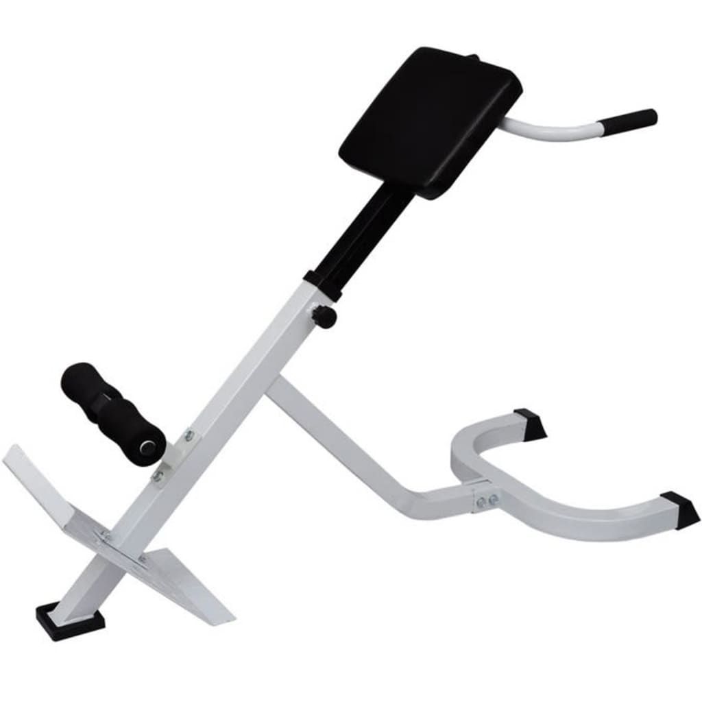 8718475843634_g_en_hd_5 vidaXL Back Extension Bench - Image 6