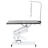 Hydraulic Bath Grooming Table for Dogs Cats Pets Adjustable - Image 2