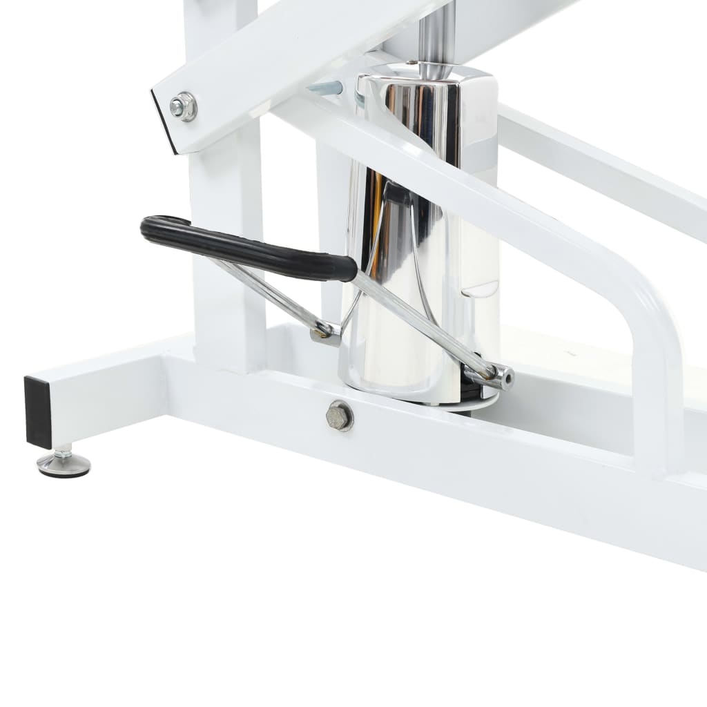 8718475874898_g_en_hd_4 Hydraulic Bath Grooming Table for Dogs Cats Pets Adjustable - Image 5