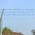 Barbed Wire Entanglement Wire Green Wire Roll 100 m