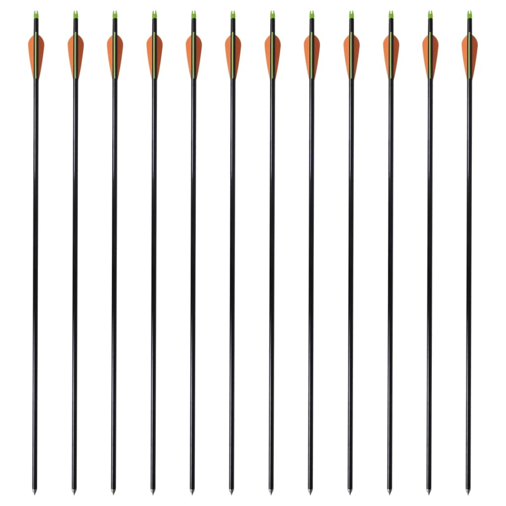 8718475923312_g_en_hd_1 vidaXL Standard Compound Bow Arrows 30" 0.8 cm Fiberglass 12 pcs - Image 2