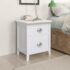 vidaXL Nightstand 2 pcs with 2 Drawers White