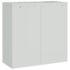 vidaXL Office Cabinet with 2 Doors Grey 90 cm Steel - Image 6