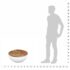 vidaXL Bowl Shaped Coffee Table Solid Reclaimed Wood 60x60x30 cm - Image 6
