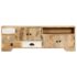 vidaXL TV Cabinet 120x30x40 cm Solid Mango Wood - Image 2