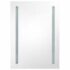 vidaXL LED Bathroom Mirror Cabinet 50x13x70 cm - Image 4
