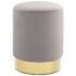 vidaXL Stool Light Grey and Gold Velvet 28 x 36 cm