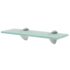 vidaXL Floating Shelves 2 pcs Glass 30x20 cm 8 mm - Image 2
