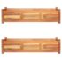 vidaXL Garden Raised Beds 2 pcs Acacia Wood 100x30x25 cm