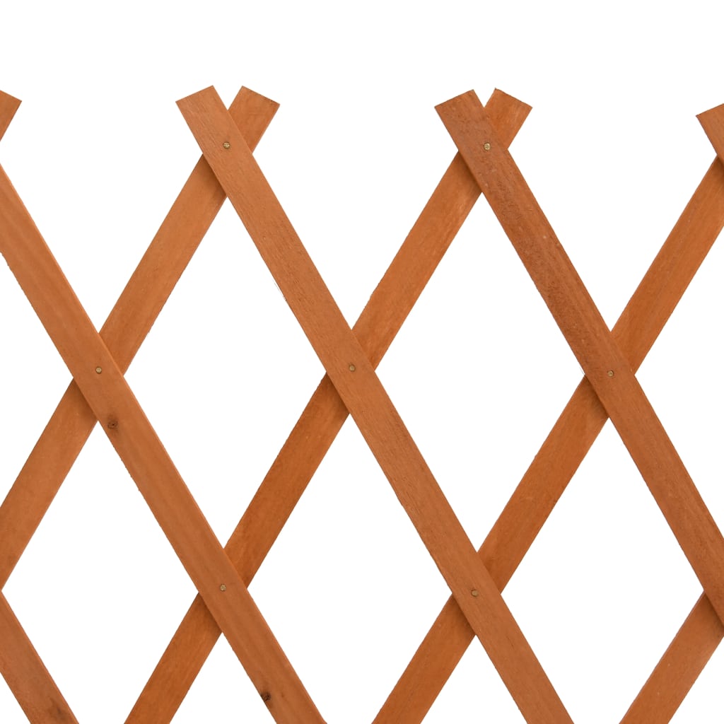 8720286182666_g_en_hd_5 vidaXL Garden Trellis Fence Orange 120x60 cm Solid Firwood - Image 6