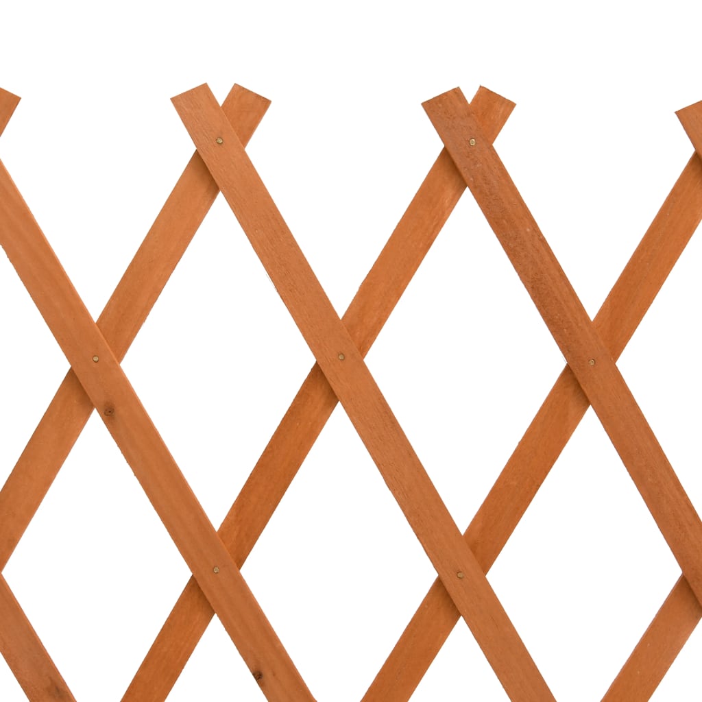 8720286182703_g_en_hd_5 vidaXL Garden Trellis Fence Orange 150x80 cm Solid Firwood - Image 6