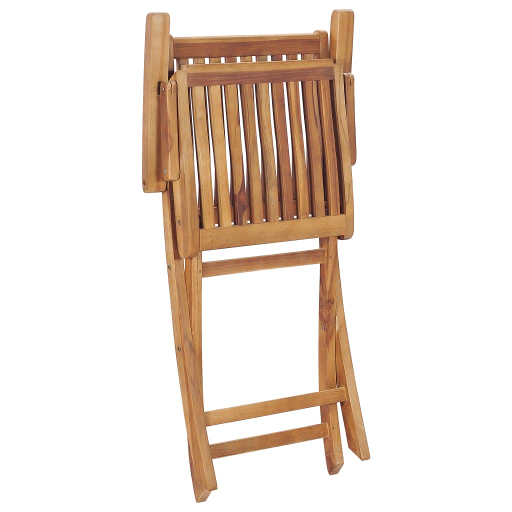8720286183007_g_en_hd_5 vidaXL Folding Garden Chairs 2 pcs Solid Teak Wood - Image 6