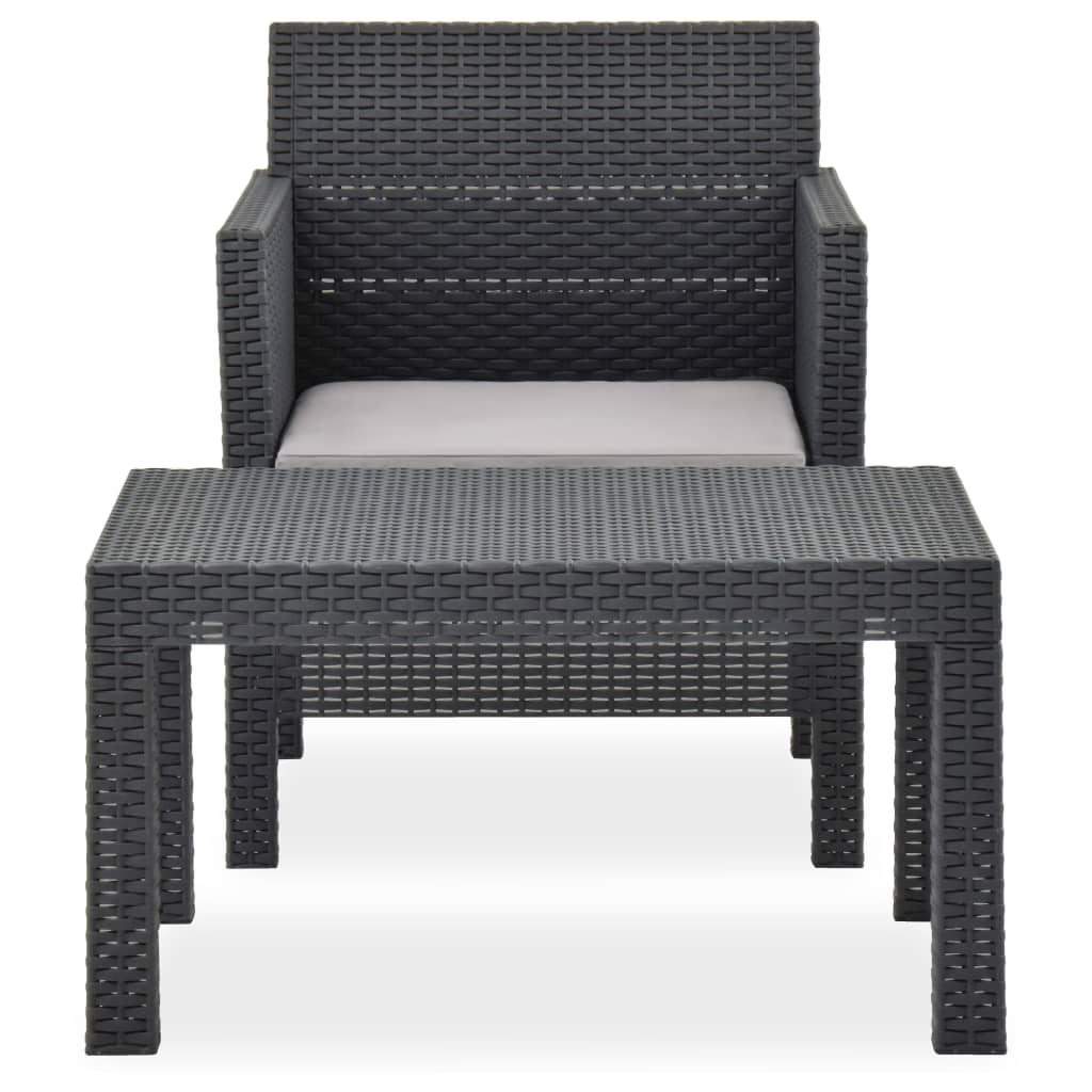8720286231180_g_en_hd_1 vidaXL 2 Piece Garden Lounge Set with Cushion Rattan Anthracite - Image 2