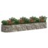 vidaXL Gabion Raised Bed Galvanised Iron 400x100x50 cm - Image 3