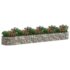 vidaXL Gabion Raised Bed Galvanised Iron 500x100x50 cm - Image 3