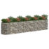 vidaXL Gabion Raised Bed Galvanised Iron 500x100x100 cm - Image 3