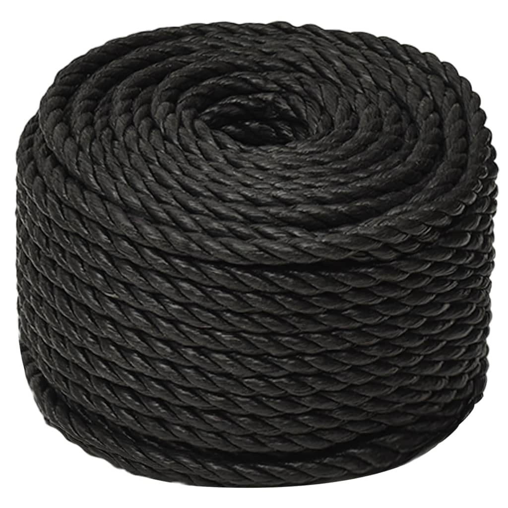 8720287132172_g_en_hd_1 vidaXL Work Rope Black 10 mm 25 m Polypropylene - Image 2