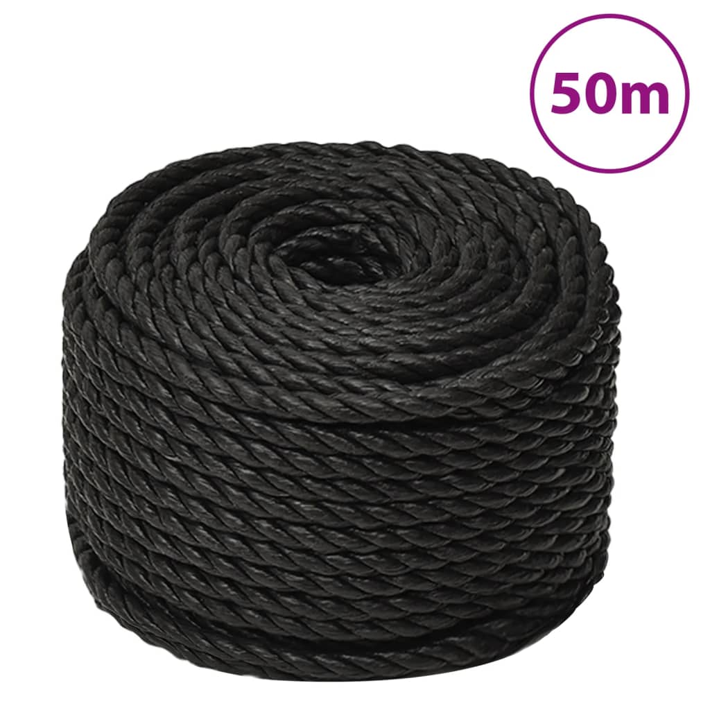 8720287132189_a_en_hd_1 vidaXL Work Rope Black 10 mm 50 m Polypropylene - Image 1