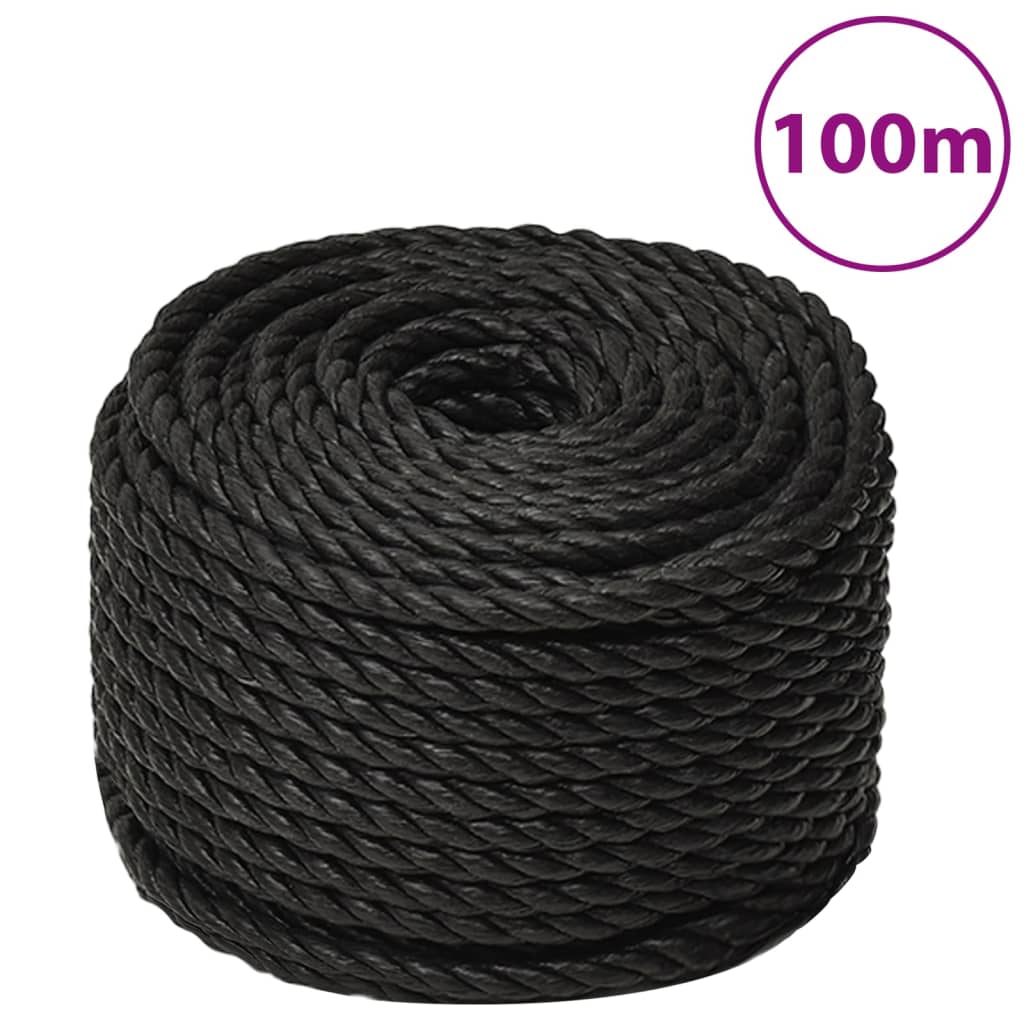 8720287132196_a_en_hd_1 vidaXL Work Rope Black 10 mm 100 m Polypropylene - Image 1
