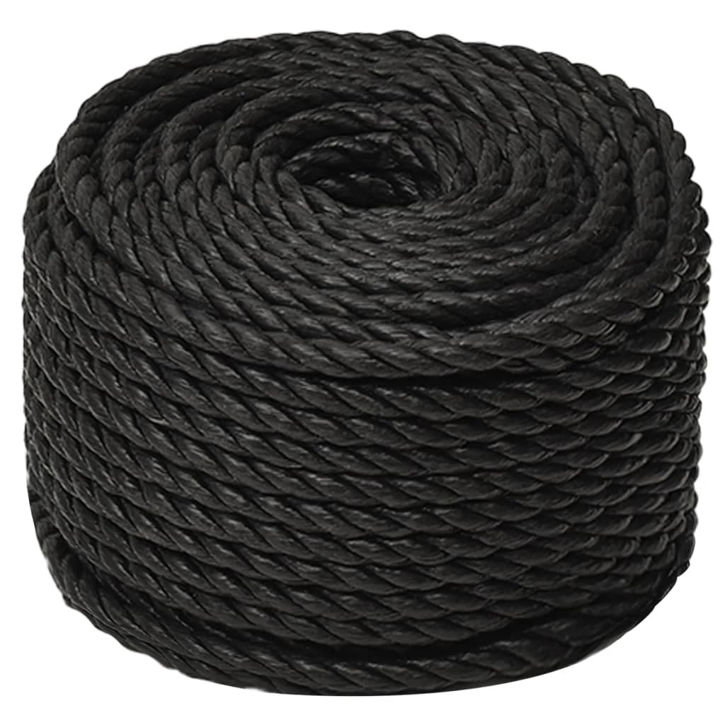 8720287132196_g_en_hd_1 vidaXL Work Rope Black 10 mm 100 m Polypropylene - Image 2
