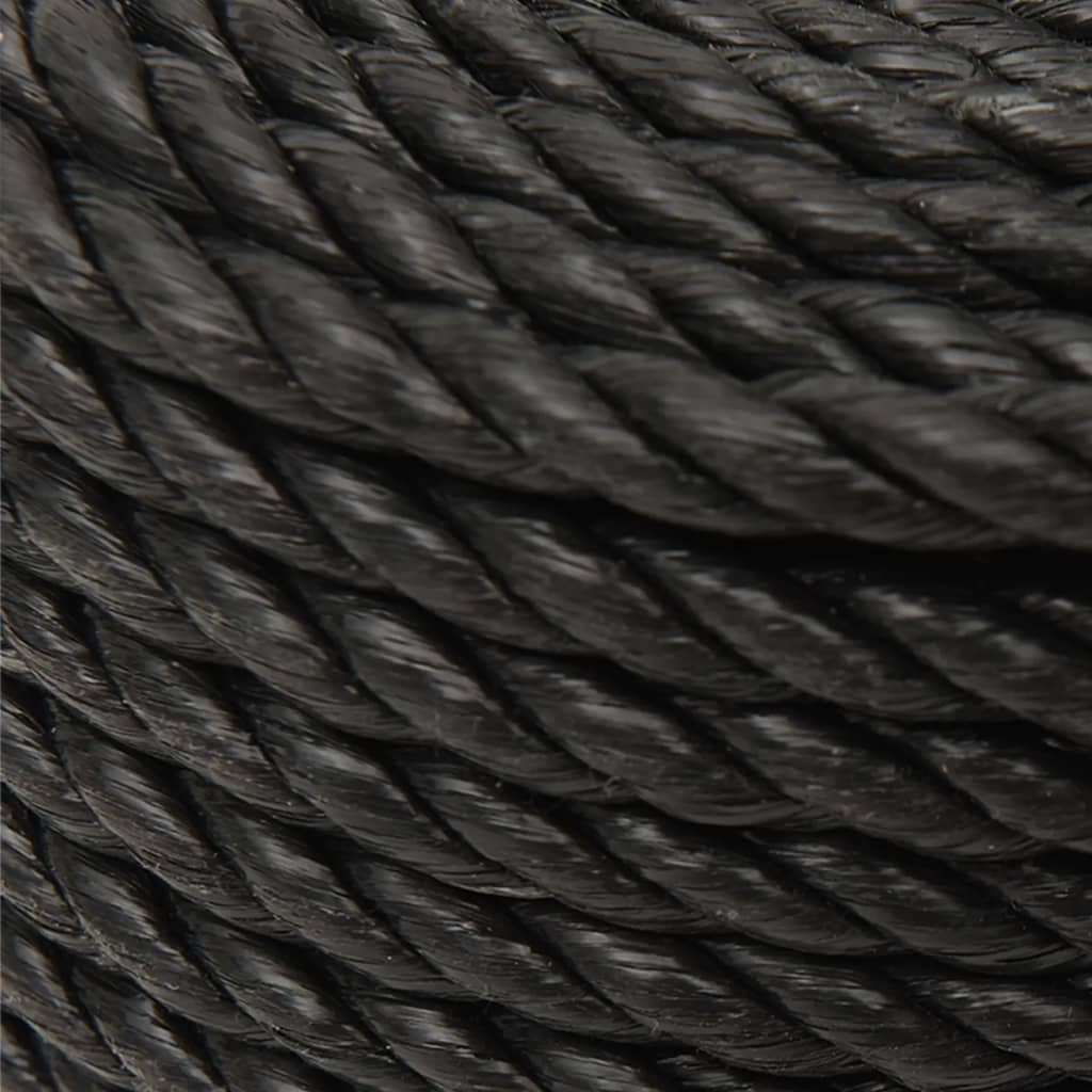 8720287132196_g_en_hd_3 vidaXL Work Rope Black 10 mm 100 m Polypropylene - Image 4