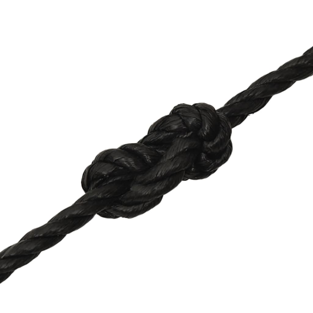 8720287132196_g_en_hd_4 vidaXL Work Rope Black 10 mm 100 m Polypropylene - Image 5