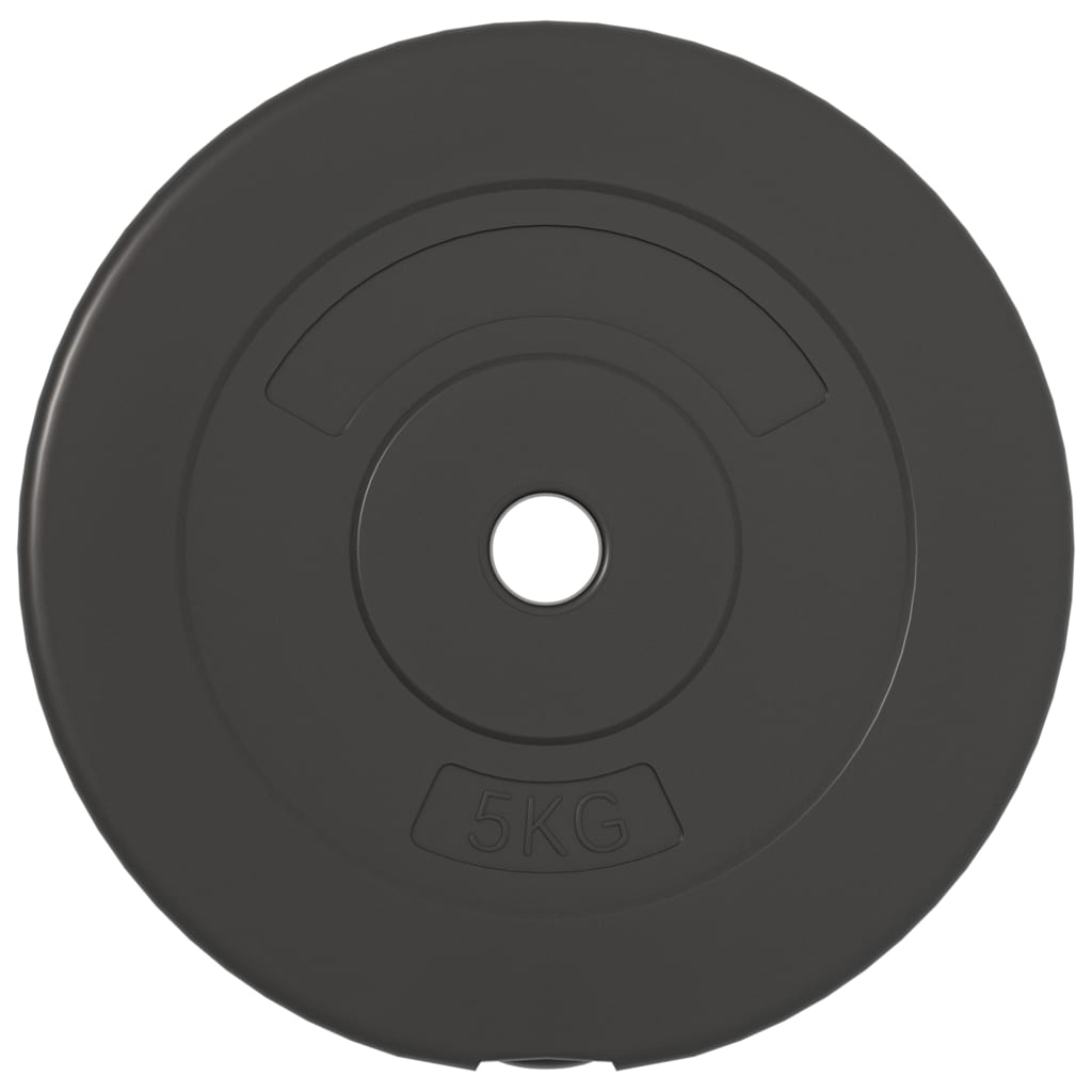 8720287155744_g_en_hd_3 vidaXL Weight Plates 4 pcs 30 kg Cement - Image 5