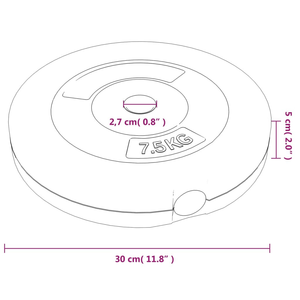 8720287155768_g_en_hd_10 vidaXL Weight Plates 6 pcs 30 kg Cement - Image 12