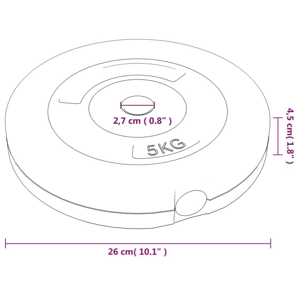 8720287155768_g_en_hd_11 vidaXL Weight Plates 6 pcs 30 kg Cement - Image 13
