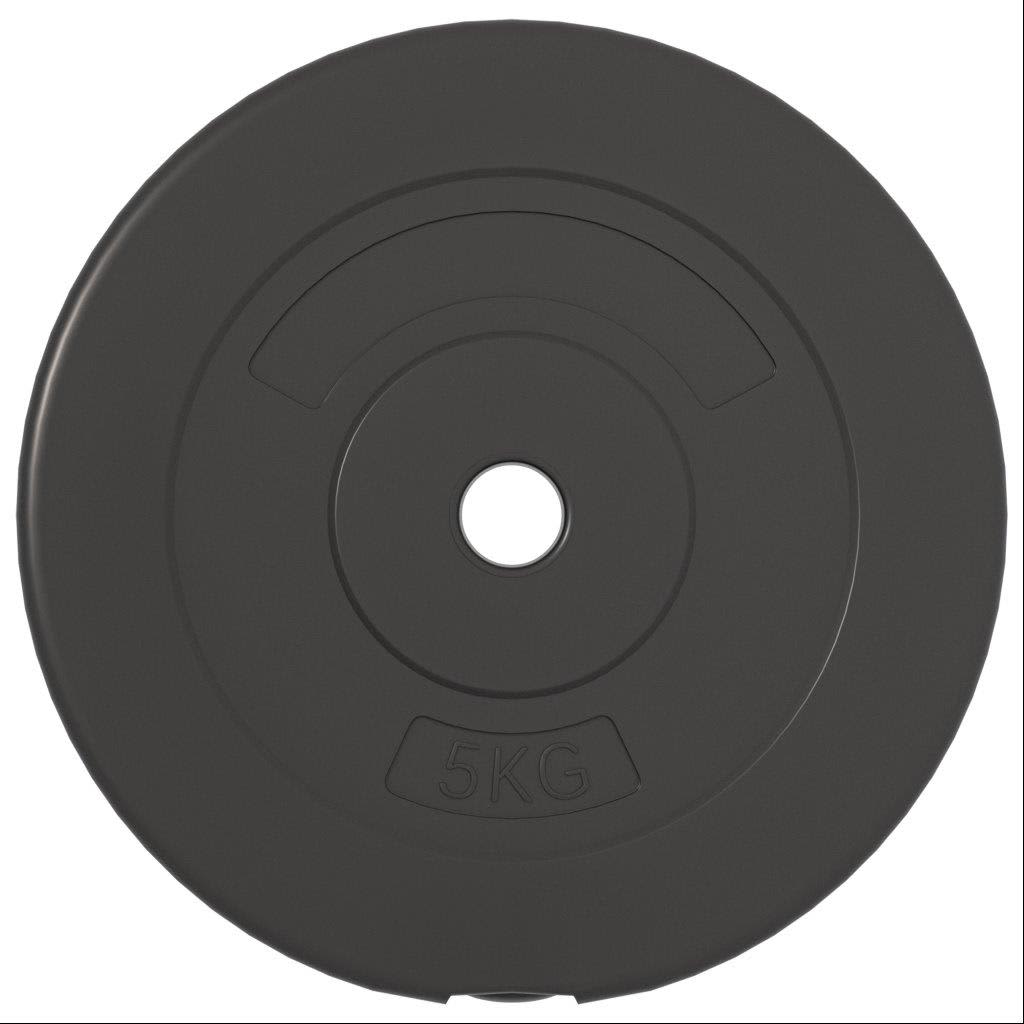 8720287155768_g_en_hd_4 vidaXL Weight Plates 6 pcs 30 kg Cement - Image 6