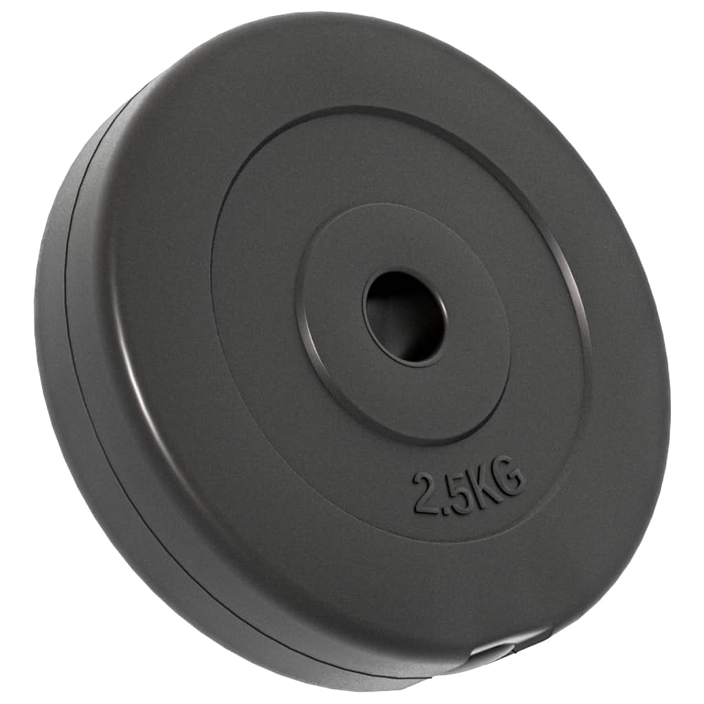 8720287155768_g_en_hd_5 vidaXL Weight Plates 6 pcs 30 kg Cement - Image 7
