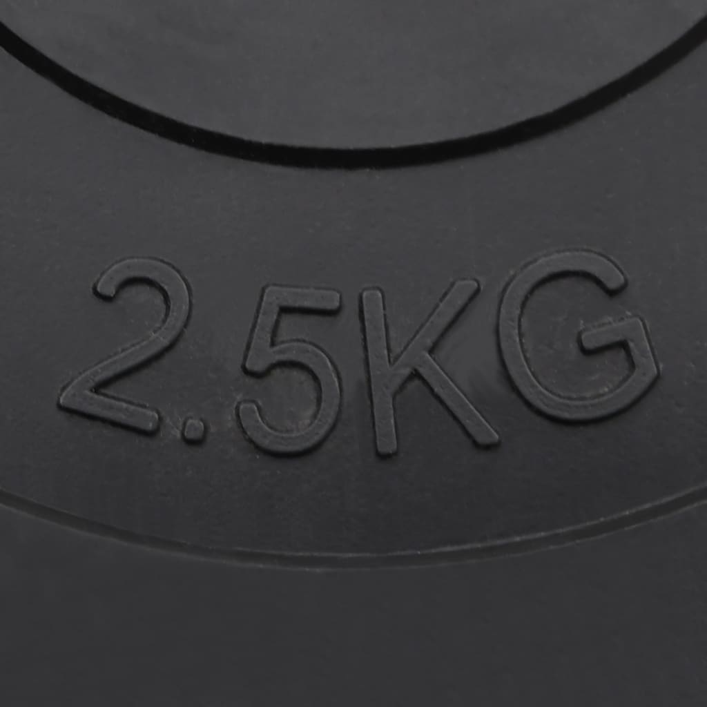 8720287155768_g_en_hd_9 vidaXL Weight Plates 6 pcs 30 kg Cement - Image 11
