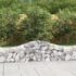 vidaXL Arched Gabion Basket 200x30x40/60 cm Galvanised Iron